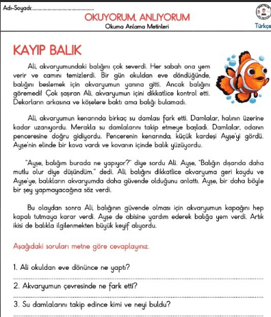 KAYIP BALIK OKUMA ANLAMA METNİ