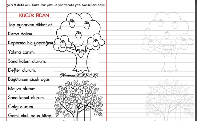 1. Sınıf Çizgili Defter Etkinliği Küçük Fidan 