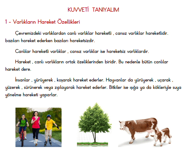 3. Sınıf Kuvveti Tanıyalım Konu Anlatımı ve Etkinlik Çalışma Sayfaları 