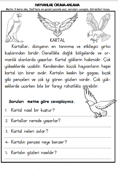 1. Sınıf Türkçe Hayvanlar Okuma Anlama Çalışması 