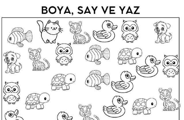 1. Sınıf Matematik Boya, Say ve Yaz Etkinliği