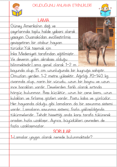 3. Sınıf Türkçe Okuduğunu Anlama Etkinliği Lama 
