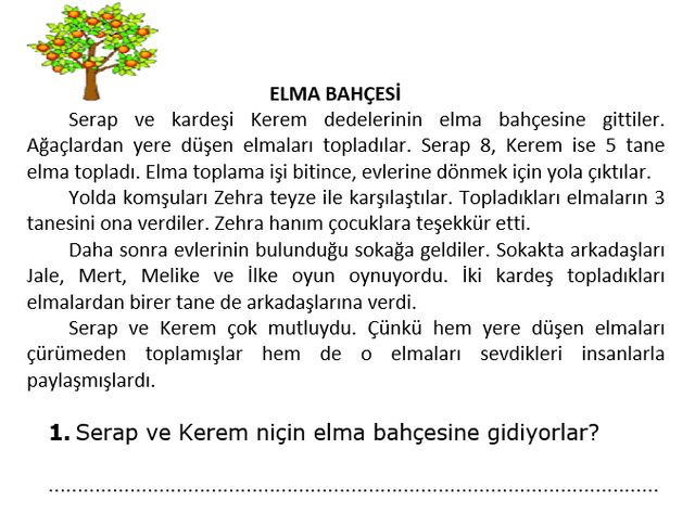 1. Sınıf Türkçe Elma Bahçesi Okuduğunu Anlama Çalışma Kağıdı